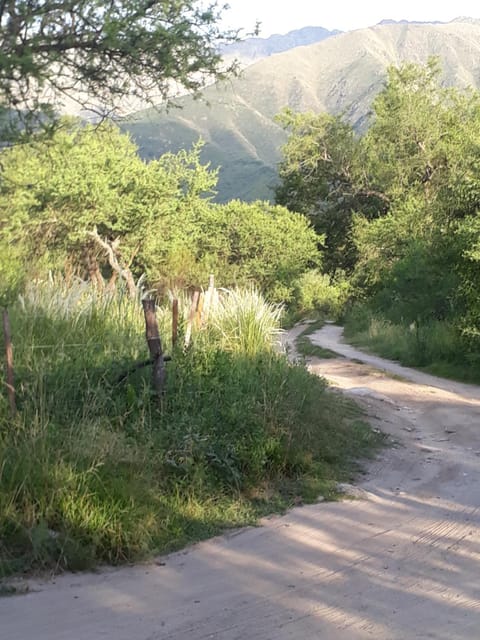 Natural landscape, Hiking