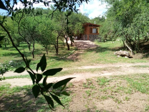 Facade/entrance, Garden view