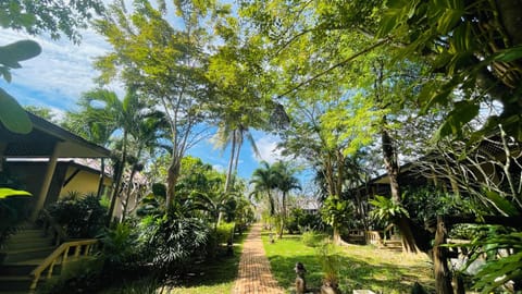 Garden, Garden view