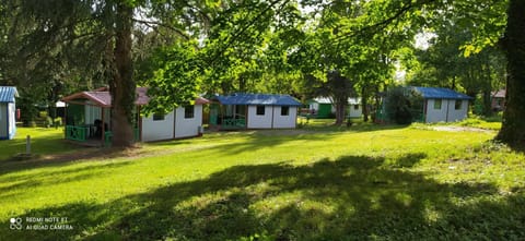 Property building, Natural landscape, Garden