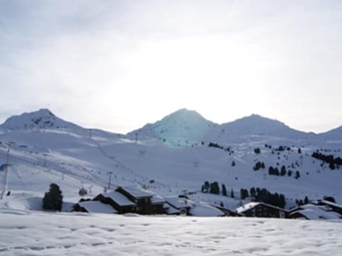 Appartement cosy avec accès direct aux pistes, animaux acceptés - Belle Plagne - FR-1-181-982 Apartment in Mâcot-la-Plagne