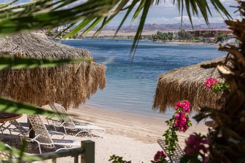 Natural landscape, Beach, River view, sunbed