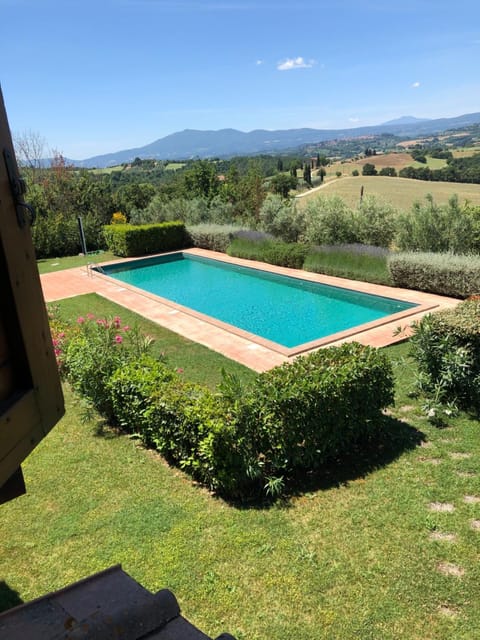 Garden, Pool view, Swimming pool, Swimming pool