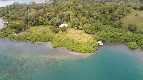 Ataraxia Capanno nella natura in Bastimentos Island