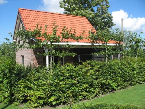 Vakantiewoning de Boshoorn Haus in Oostkapelle