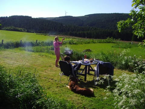 BBQ facilities