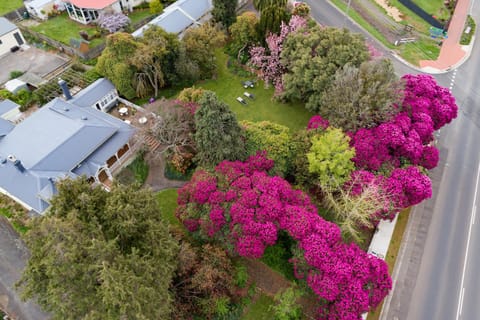 Bird's eye view, Garden view