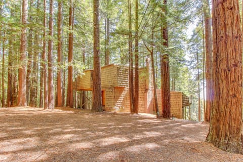 The Redwood House Haus in Sonoma County