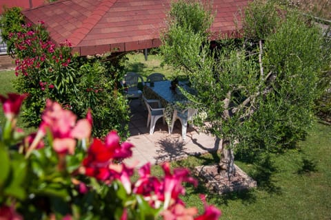 P&P Assisi Camere Bed and Breakfast in Bastia Umbra