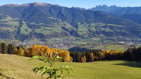 Natural landscape, Balcony/Terrace, Autumn, City view, Landmark view, Mountain view