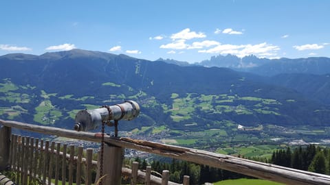 Summer, Decorative detail, On site, City view, Garden view, Mountain view