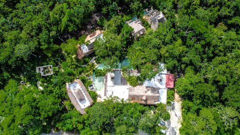 Property building, Bird's eye view