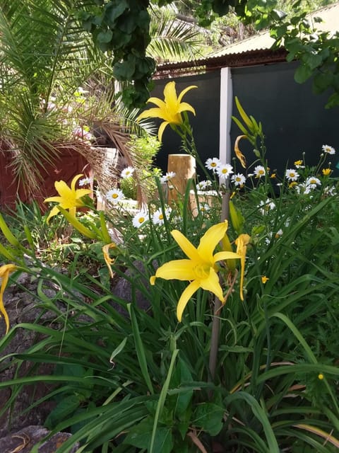 Lo de Lily House in Embalse