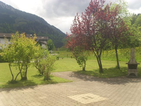 Day, Natural landscape, Garden