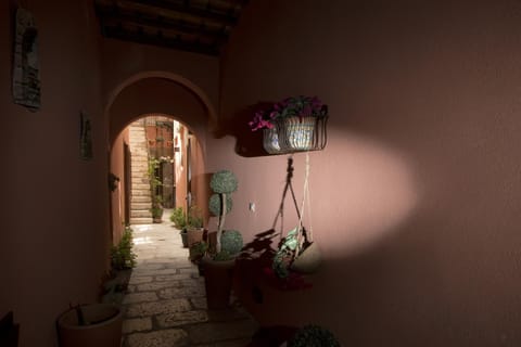 Patio, Garden view