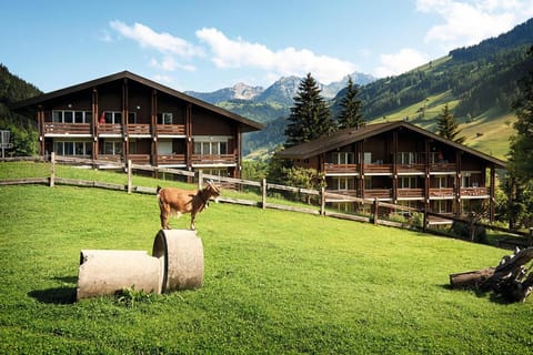 Facade/entrance, Neighbourhood, Natural landscape, Summer, Animals, On site, Pets, Mountain view