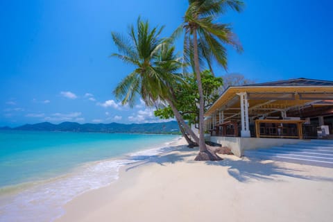 Chaweng (Koh Samui) hotels & apartments, all accommodations in Chaweng (Koh  Samui)