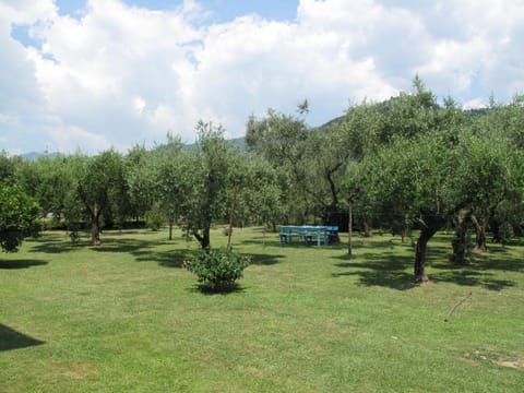 Apartment Wilma by Interhome Apartment in Province of Massa and Carrara