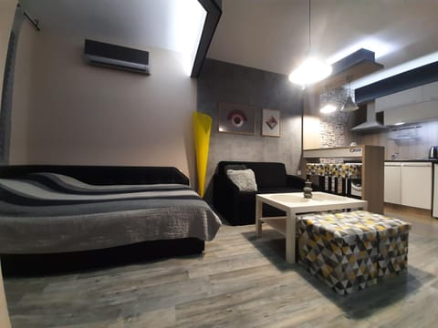 Art Studio Vinitsa Apartment in Varna