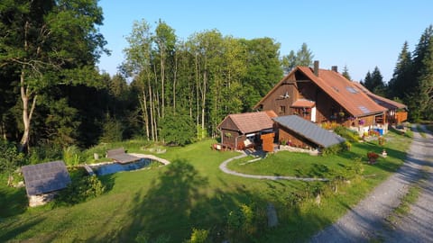 Neighbourhood, Natural landscape, Bird's eye view, Garden, Garden view