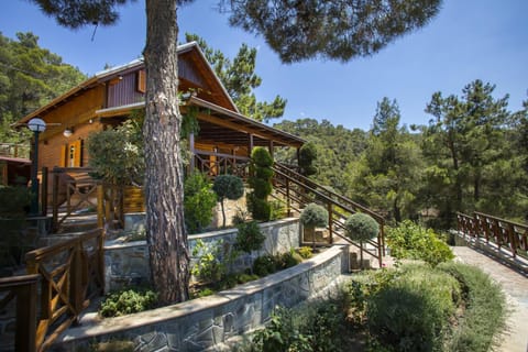 Ricky Chalet Near Troodos Chalet in Nicosia District