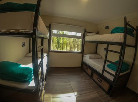 Bed, View (from property/room), Bedroom, bunk bed