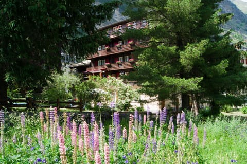Hotel Alpina Hôtel in Zermatt