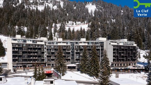 Property building, Day, Natural landscape, Winter, Mountain view