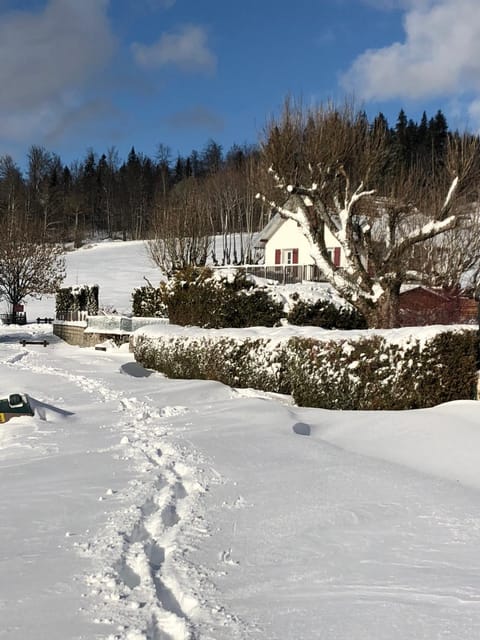 Fleur d'eau Apartment in Canton of Vaud