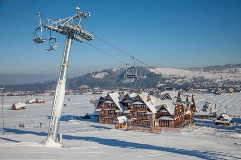 Winter, Skiing, Area and facilities