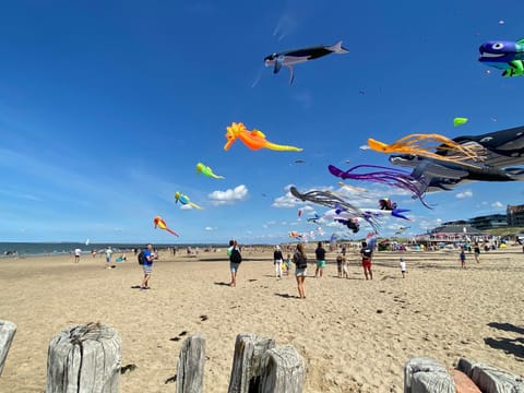 Zonneweelde, Vakantie aan Zee Nature lodge in Zeeland, Netherlands