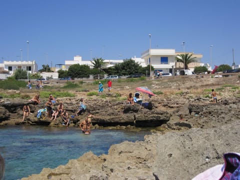 Neighbourhood, Natural landscape, Beach