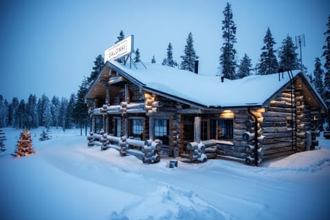 Property building, Natural landscape, Winter