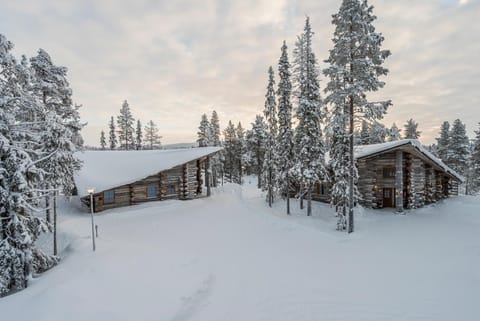 Property building, Winter