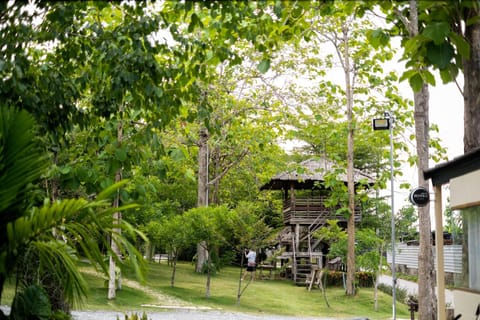 Natural landscape, Garden, Garden view