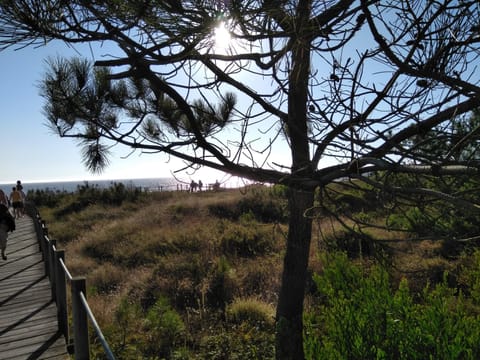 Nearby landmark, Natural landscape