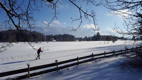 Natural landscape, Winter, Skiing