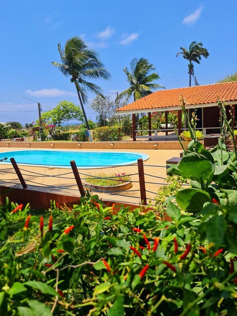 Balcony/Terrace, Swimming pool, sunbed