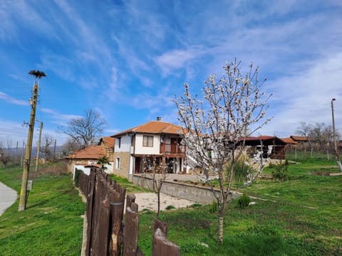 Spring, Garden view