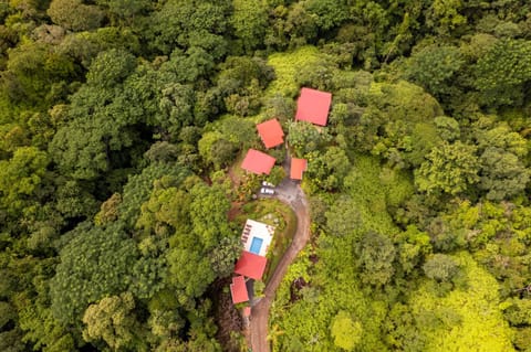 Property building, Bird's eye view, View (from property/room)