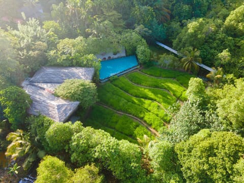 Property building, Day, Natural landscape, Bird's eye view, Garden, Pool view, Swimming pool