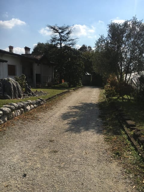 Garden, Garden view, Inner courtyard view