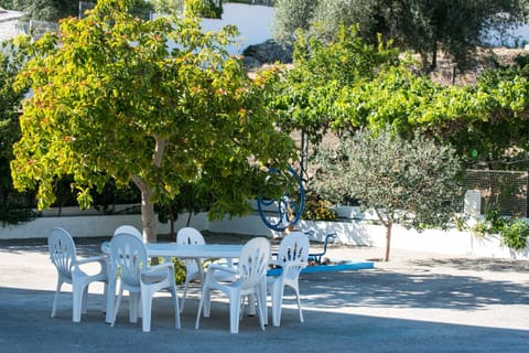 Patio, Area and facilities