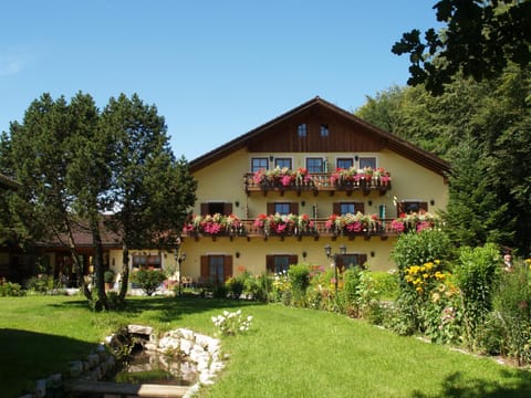 Property building, Day, Garden