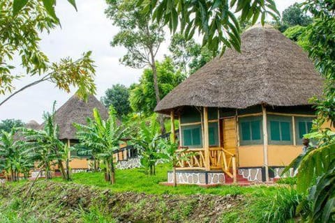 Queen Elizabeth PVT Lodge Natur-Lodge in Uganda