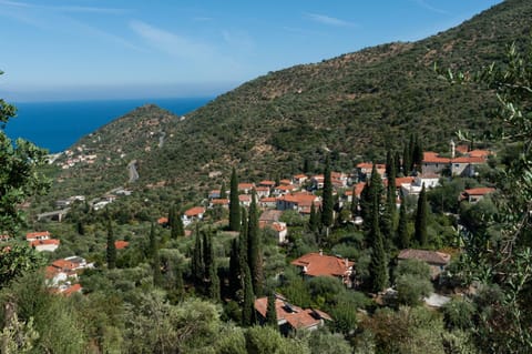 Neighbourhood, Bird's eye view