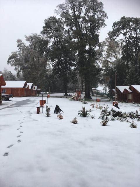 Portal Costanera Caburgua Natur-Lodge in Pucon