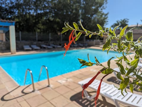 Pool view, sunbed