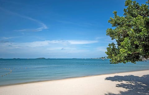 Beach, Sea view