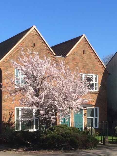 Facade/entrance, Spring